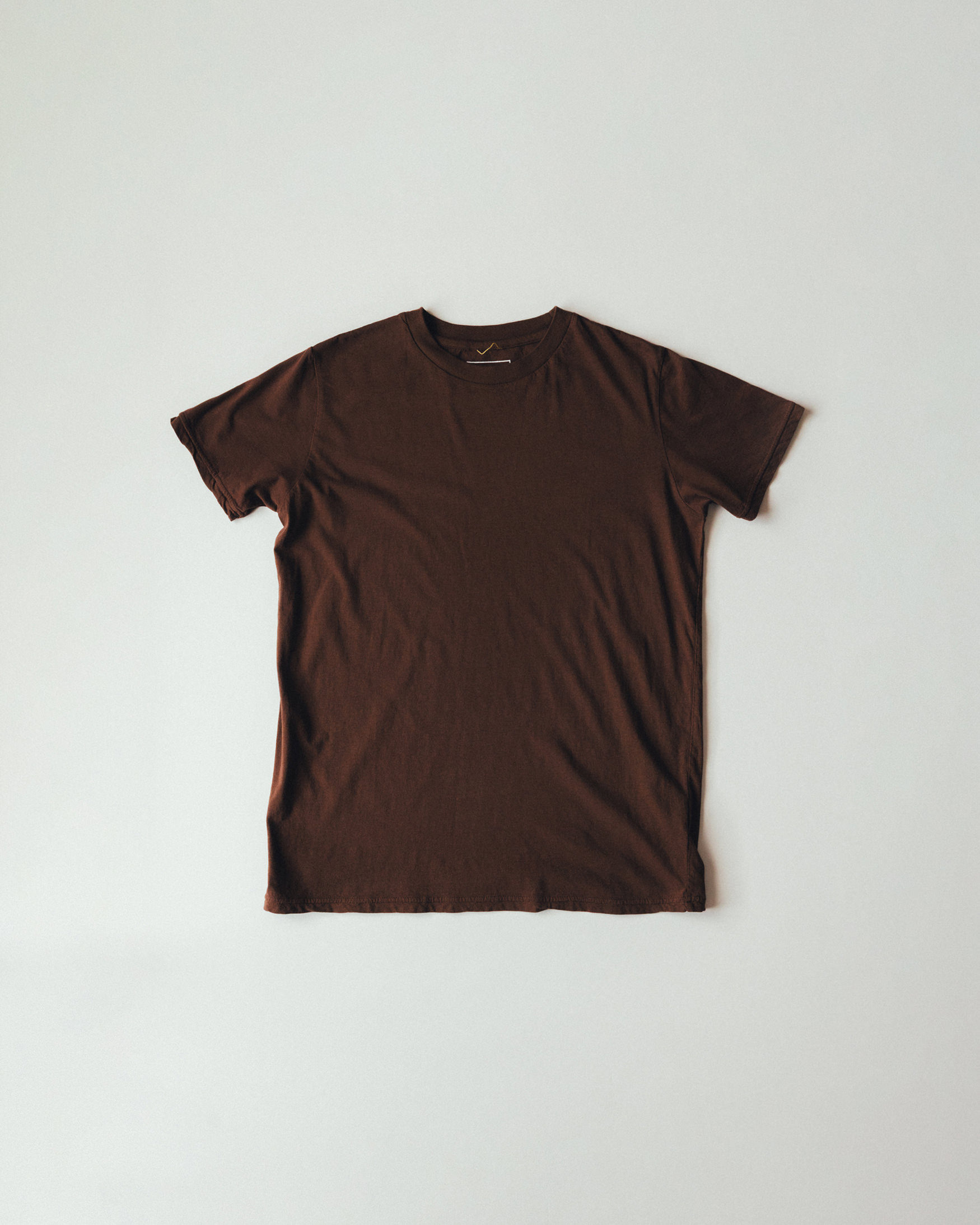 Light Weight Basic S/S Tee (Brown)